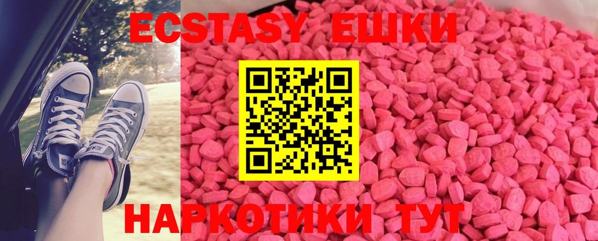 ЭКСТАЗИ бентли  Экстази Philipp Plein  Вход с VPN  Ecstasy  Свободный 