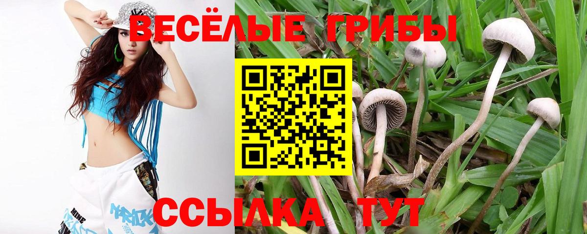 Свободный  Галлюциногенные грибы ЛСД  Псилоцибиновые грибы Magic Shrooms  Вход с VPN 
